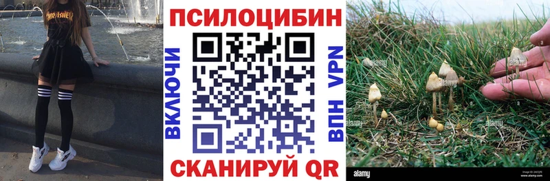 Псилоцибиновые грибы Magic Shrooms Задонск